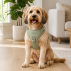 Pavunero CloudFit No-Pull Harness