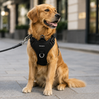 Pavunero CloudFit No-Pull Harness