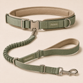 Pavunero FlexTrail Hands-Free Leash