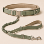 Pavunero FlexTrail Hands-Free Leash