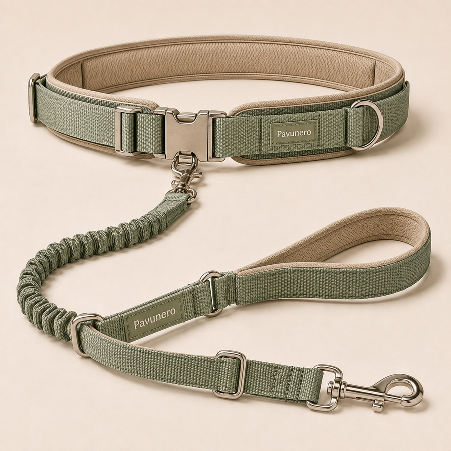 Pavunero FlexTrail Hands-Free Leash