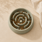 Pavunero SlowFlow Feeding Bowl